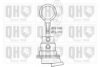 QUINTON HAZELL QFP531 Fuel Pump